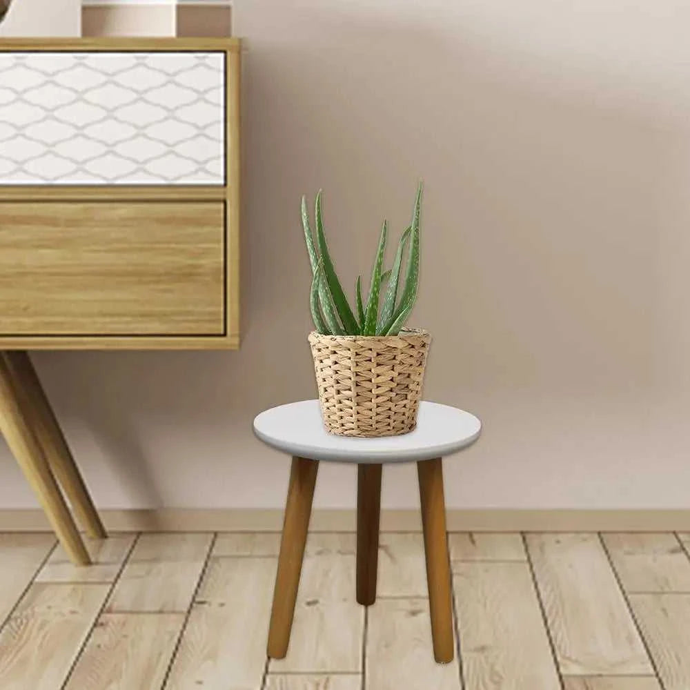 +Product Name from Shoppoint24 – ShopPoint24 +Product Name from Shoppoint24