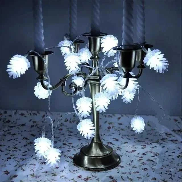 +Product Name from Shoppoint24