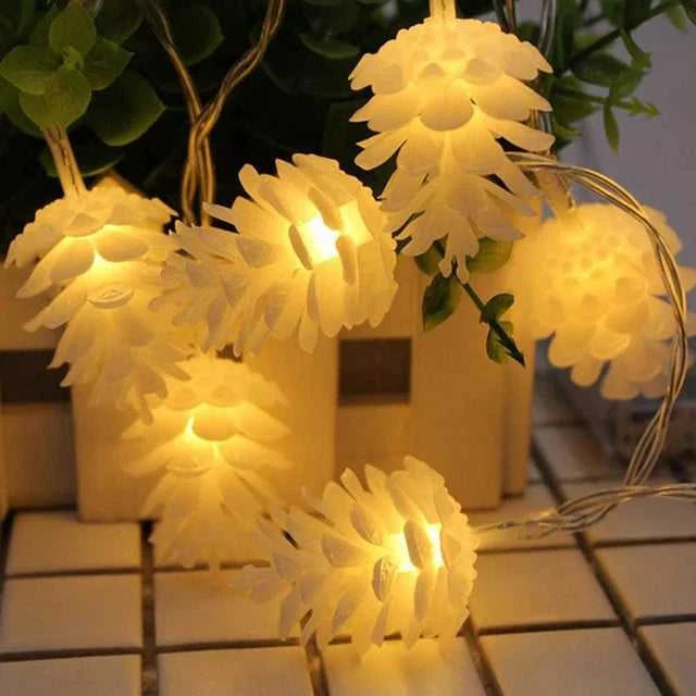 +Product Name from Shoppoint24