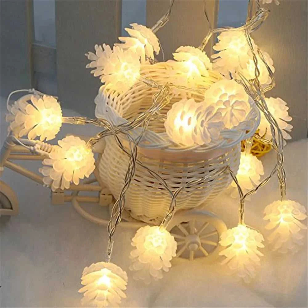 +Product Name from Shoppoint24