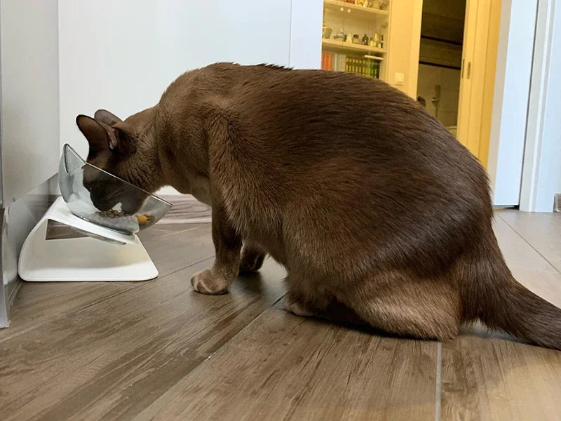Libisemiskindel topeltkassikauss