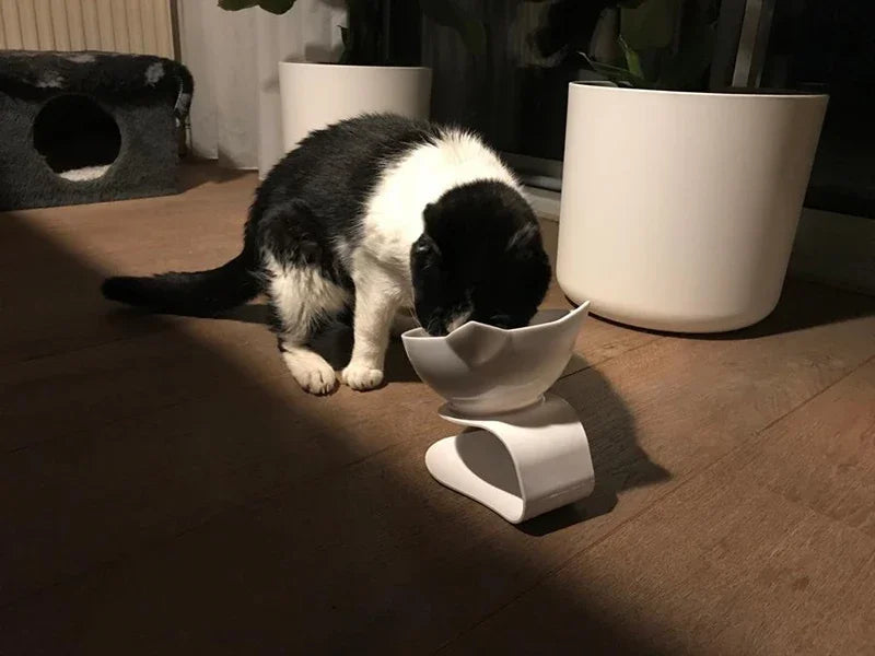 Libisemiskindel topeltkassikauss