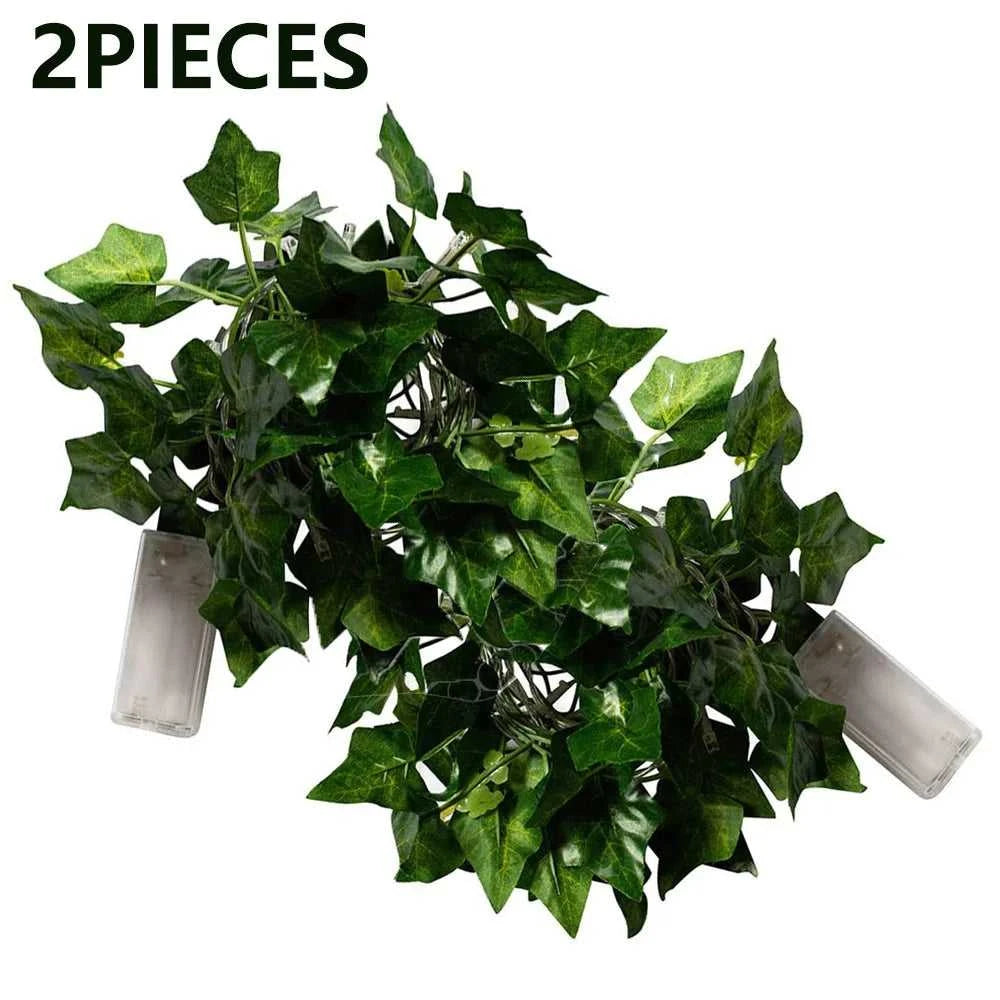 +Product Name from Shoppoint24