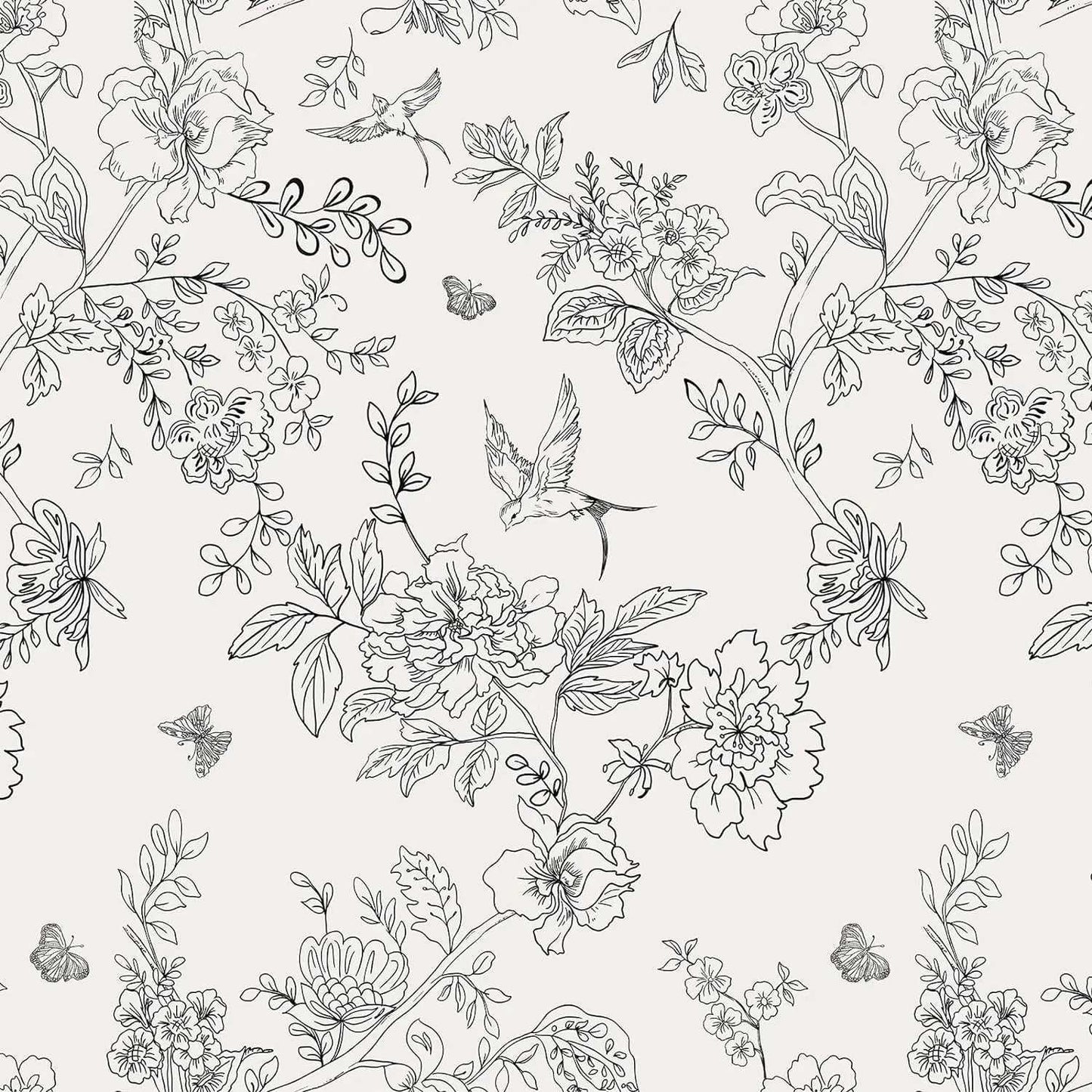 +Product Name from Shoppoint24