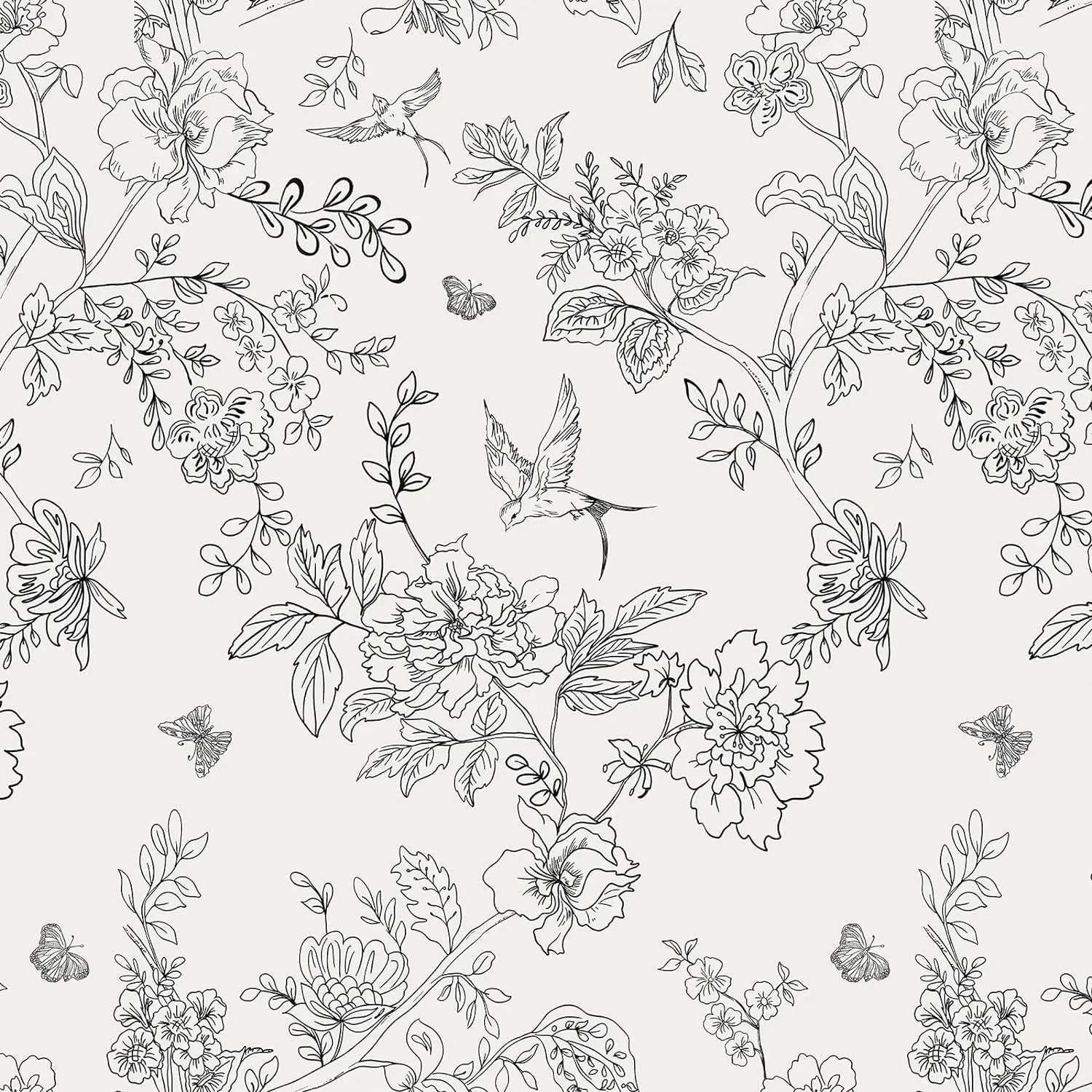 +Product Name from Shoppoint24